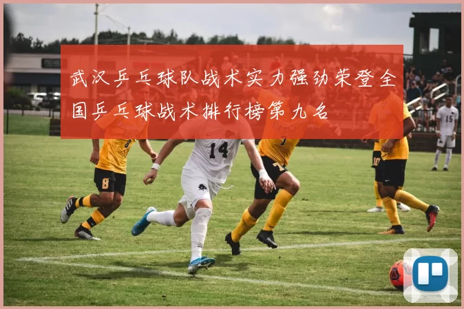 武汉乒乓球队战术实力强劲荣登全国乒乓球战术排行榜第九名