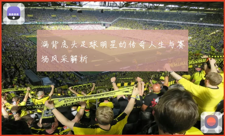 满背虎头足球明星的传奇人生与赛场风采解析