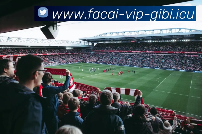 爱游戏体育发展历程